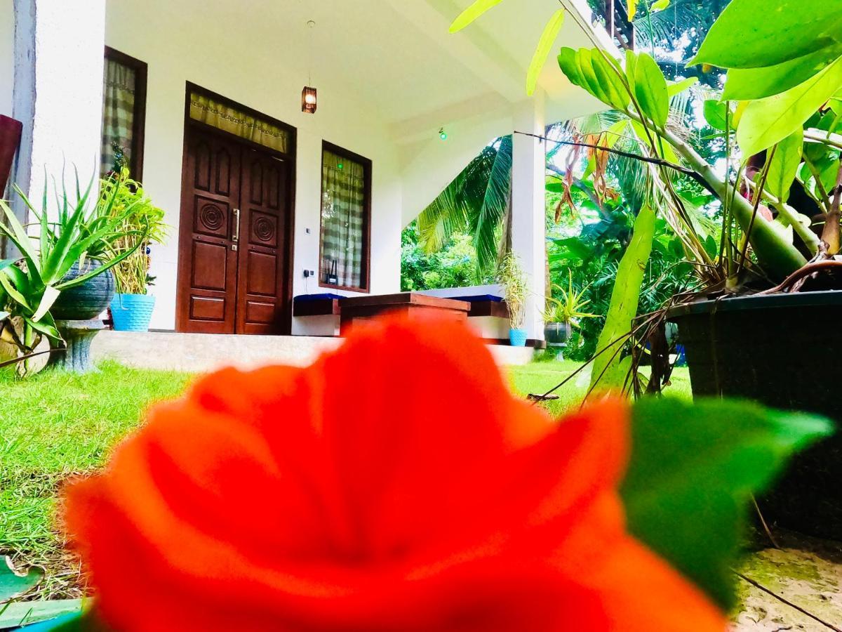 Mountain seaview Cabanas Tangalle Bagian luar foto
