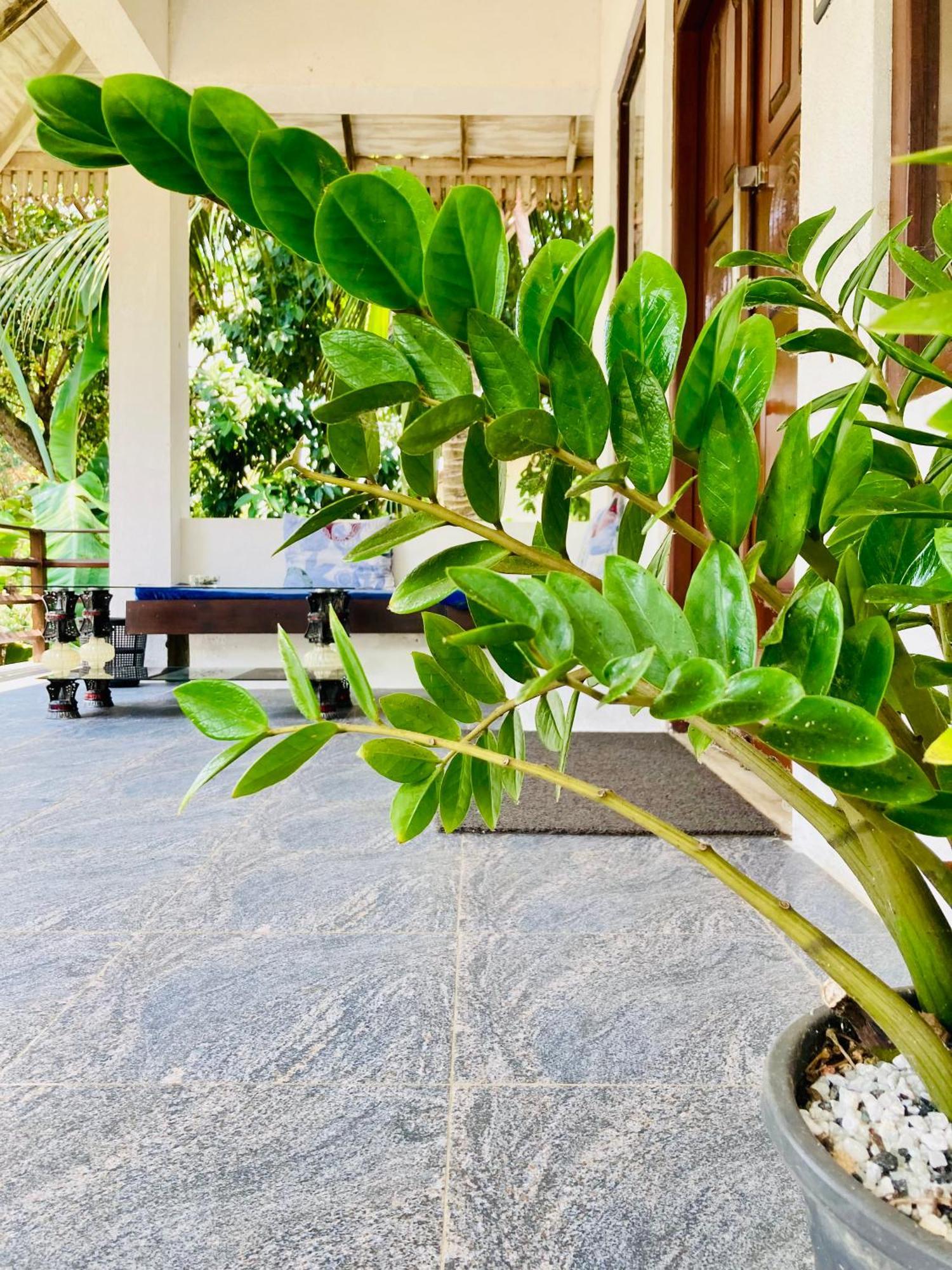 Mountain seaview Cabanas Tangalle Bagian luar foto
