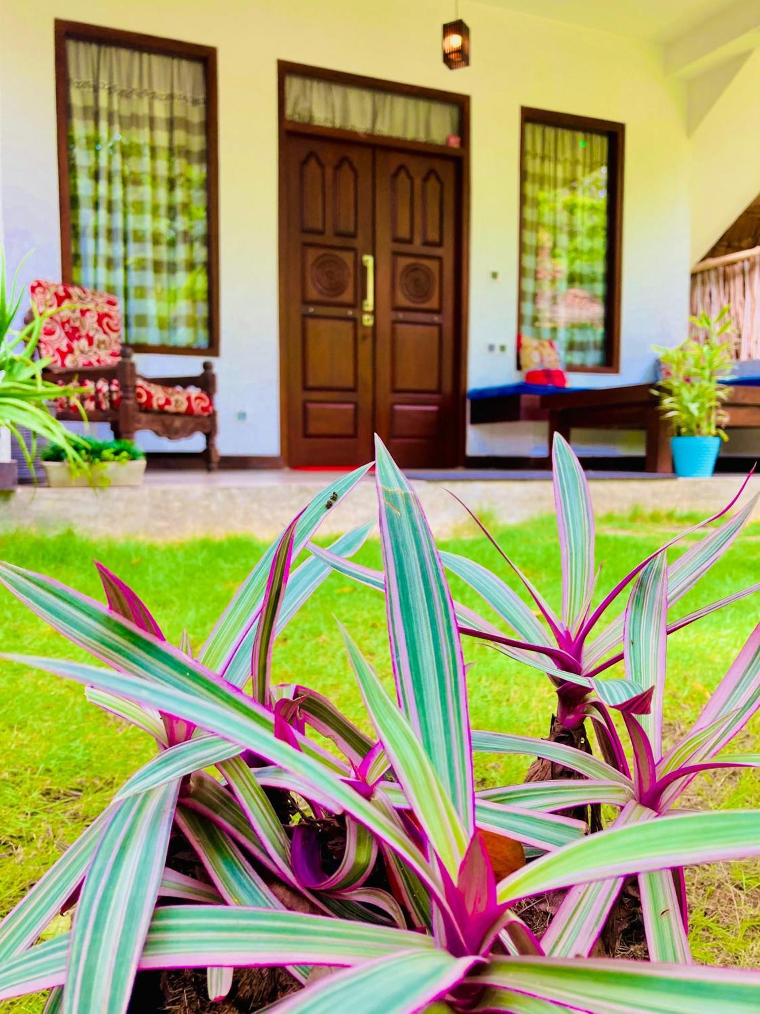 Mountain seaview Cabanas Tangalle Bagian luar foto